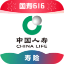 最强校园女神TXT下载
